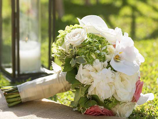 Host an Event