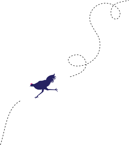 Rooster